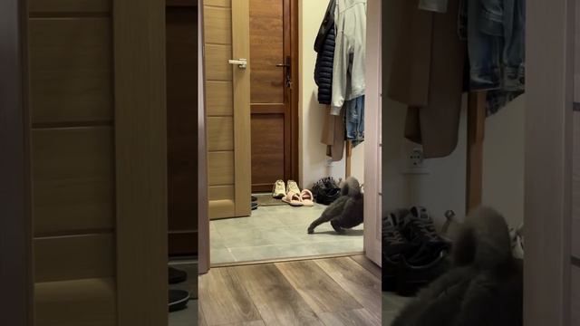 Танцы смотреть онлайн