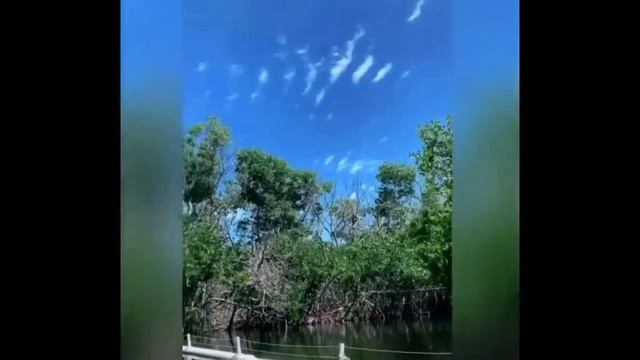 РЖАЛ КАК ЛОШАДЬ\Смешные видео о рыбалке из ТИК ТОК\ Лучшее из тик ток\лучшие приколы смотреть онлайн