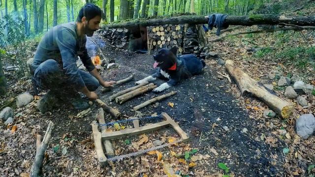 Building a WOOD and ROCK Bushcraft SHELTER for SURVIVAL 3 DAYS. Fireplace, Quail Cooking. Camping смотреть онлайн
