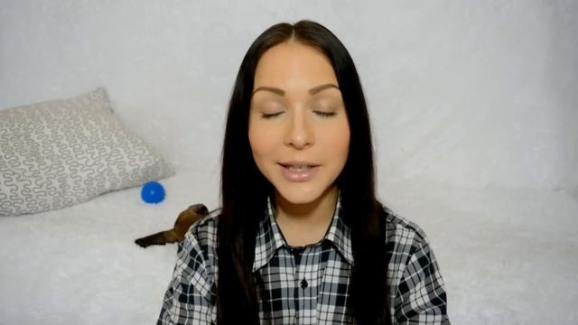 Моя СОБАКА ♥️ ТАКСА смотреть онлайн