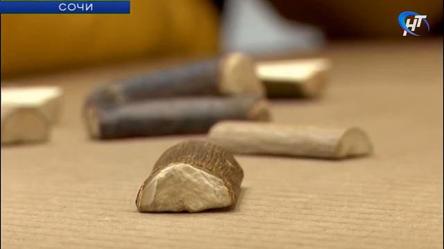 На всемирном фестивале молодежи и студентов активно работает новгородская площадка смотреть онлайн