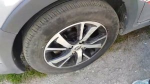 Собаки писают на колеса / Как отвадить псов ?