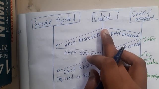 4.4 Dynamic Host Configuration Protocol DHCP смотреть онлайн