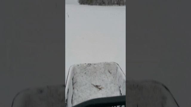 Мотособака и скорость.