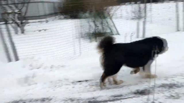 ВЛОГ /Дни жизни /29. 11- 8 .12/ Переехали из подвала !/ Заказы/Подарок от подписчицы смотреть онлайн