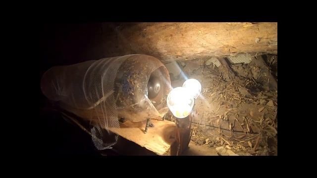 Ловушка для мошки и комаров из моторчика от фена смотреть онлайн