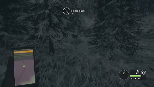 Hunting Grizzly Bear for Respawns Thehunter Call Of The Wild смотреть онлайн