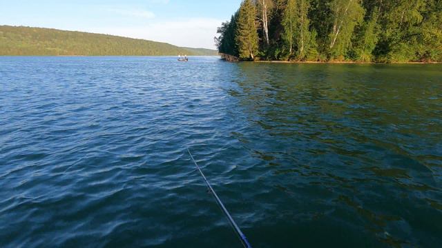 ПАВЛОВКА-рыбалка на Павловском водохранилище в ИЮЛЕ