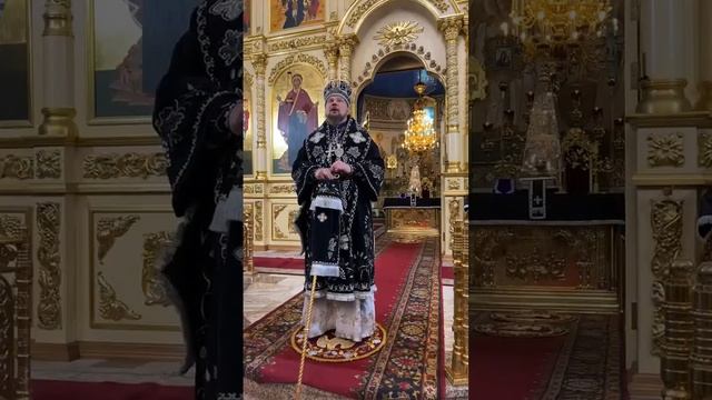 проповедь владыки Питирима-1 марта смотреть онлайн