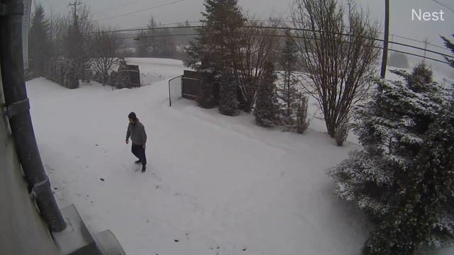 Massive storm hits Newfoundland shuts city down! смотреть онлайн