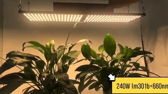 Quantum Board 240 W Samsung LED