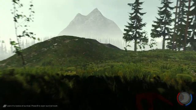 The Forest 1 ДЕНЬ 1 ЧАСТЬ смотреть онлайн