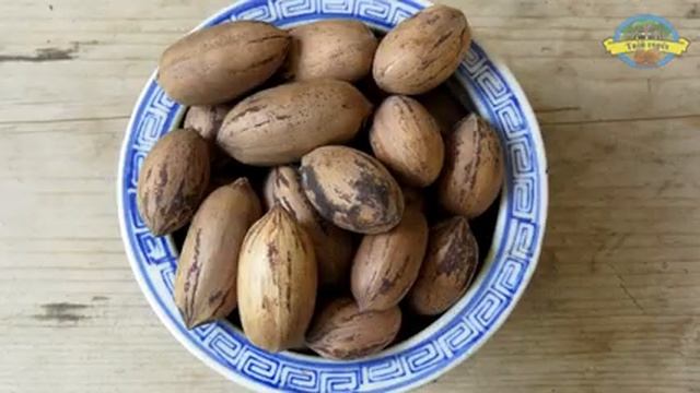 №111 Пекан - один з найдорожчих горіхів, на якому можна зробити хороший бізнес смотреть онлайн