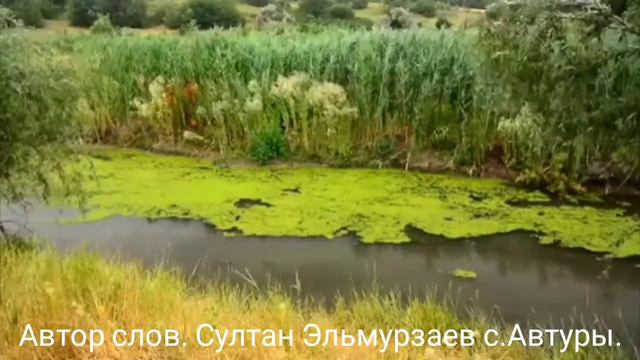 Автор видео слов Султан Эльмурзаев с.Автуры. Чу тийна Адамаш 17.06.2021г. смотреть онлайн