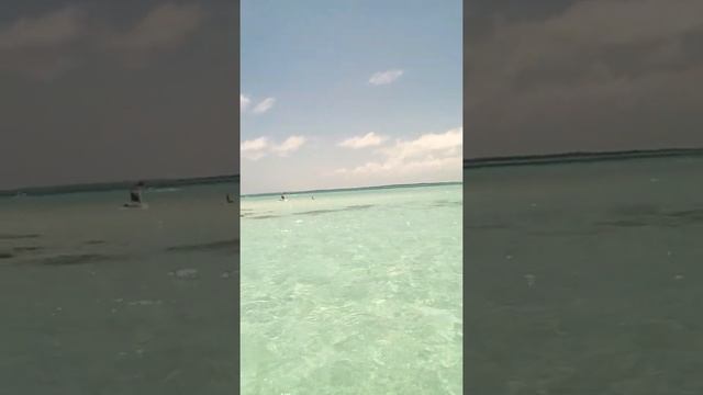 Los roques venezuela смотреть онлайн