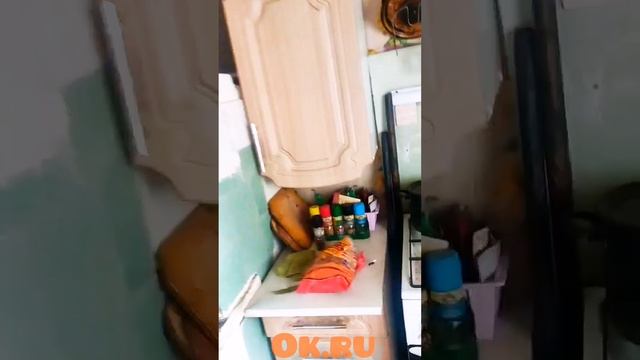 Симферопольцы на севере России. Чудо - Русская печь. смотреть онлайн