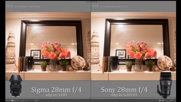 Sony 28-135 f4 Review