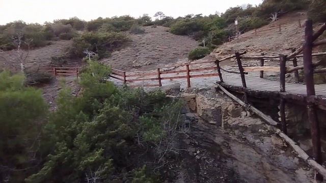 Кормление лисичек и красивый закат в ноябре. Новый Свет. Крым. смотреть онлайн