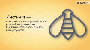 Класс Насекомые многообразие насекомых, их роль в природе | Биология 7 класс #26 | Инфоурок