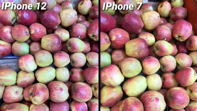 Second Hand IPhone 12 Vs IPhone 7 Camera Test In_2023 Shocking Result ? ? ? ? смотреть онлайн