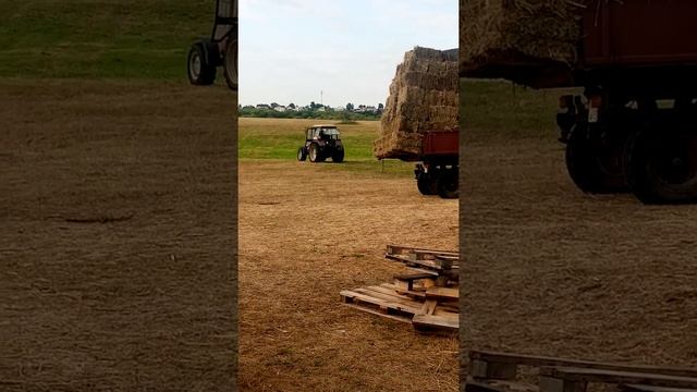 Сено луговое в тюках с доставкой смотреть онлайн