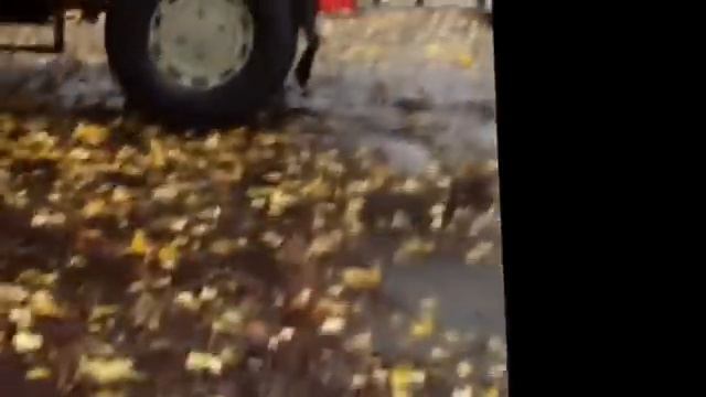 Пожар в автомобиле в Гродно утром 17.10.12 смотреть онлайн