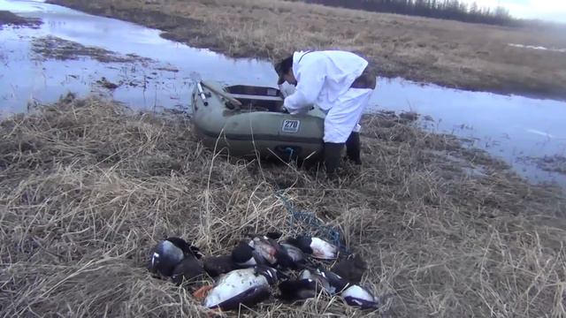 Халыма кусчуттара смотреть онлайн