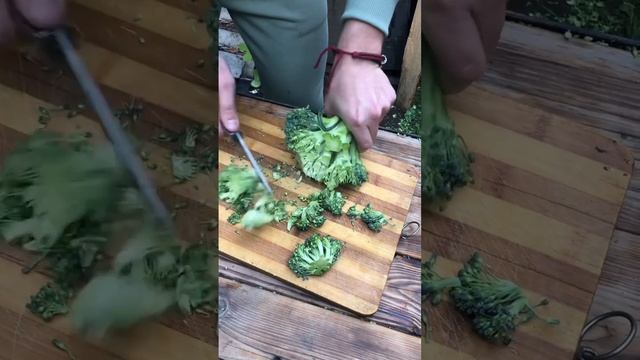 Новинка!! Складной нож коготь Redblack из стали номер один в мире S390, рукоять авторский карбон!