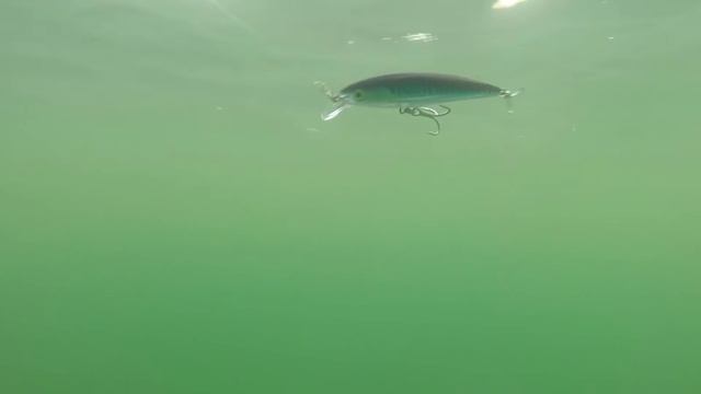 How Lures Swim: Rapala X-Rap Xtreme Action Slashbait смотреть онлайн