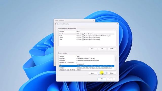 How to Add Python Path to Environment Variable on Windows 11 смотреть онлайн
