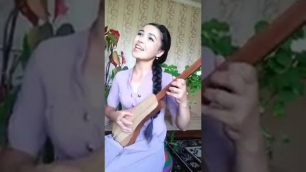 Комуз куусу