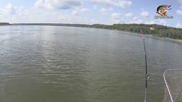 КЛАССНЫЙ УЛОВ ЩУКИ ТРОЛЛИНГОМ в Молчаново, на Оби (28.07.2020). смотреть онлайн