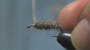 Супер мушка-ручейник в домике.