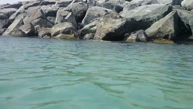 Flying Fish on the beaches of Dubai смотреть онлайн