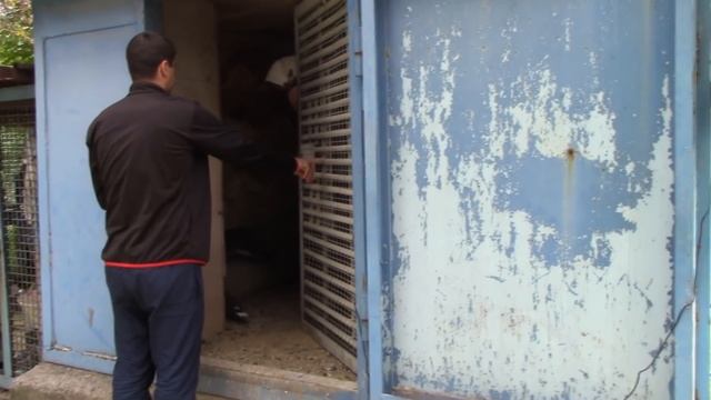 Будник С.В Курахово 0504721722 смотреть онлайн