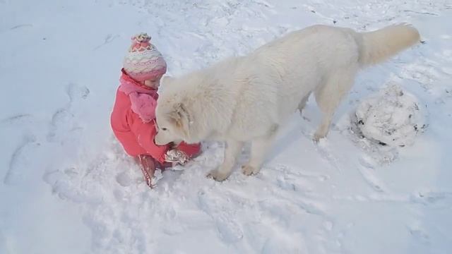 БШО "Война за тарелку снега" смотреть онлайн