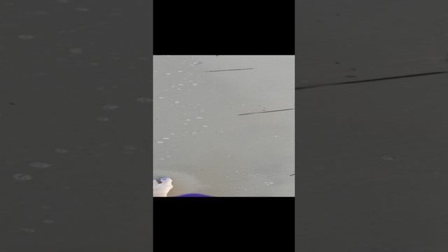 VID_20191017_171125 смотреть онлайн