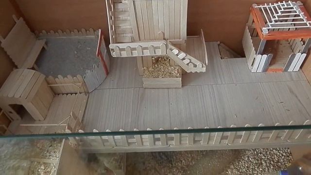 Что должно быть в клетке у джунгарского хомяка смотреть онлайн