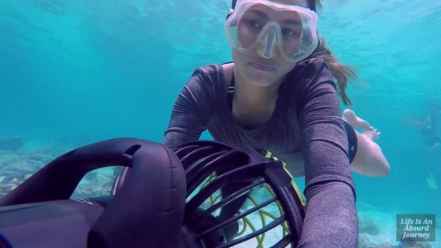 Trying Sea Scooter смотреть онлайн