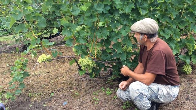 Божко Владимир Георгиевич 24.08.2019 смотреть онлайн