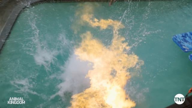 Behind The Scenes Series Finale | The Making of Animal Kingdom | TNT смотреть онлайн