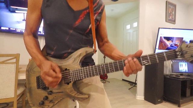 My Schecter Apocalypse Passive C1 F/R смотреть онлайн