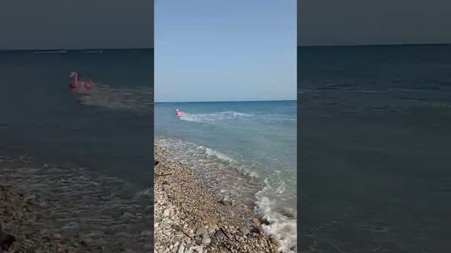 Архипо-Осиповка. Дикий пляж. 23.06.2021 смотреть онлайн