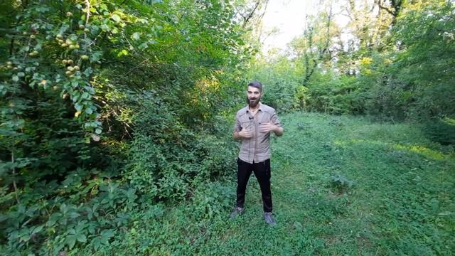 Пить или не пить в жизни, на отдыхе, в чем разница? Возможна ли трезвая жизнь? смотреть онлайн