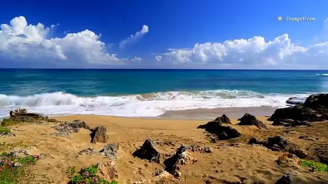 Футаж  Море