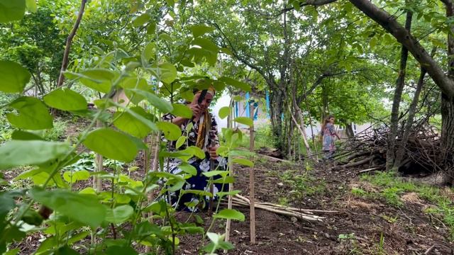 Daily Routine Life & Cattle Job In A Beautiful Mountain Village In IRAN