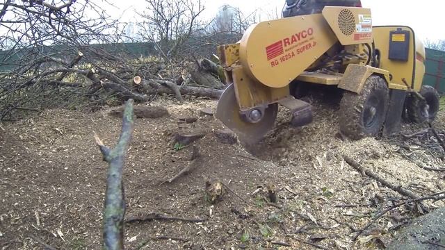 Корчёвка пней от яблонь в Москве. Как выкорчевать пни в саду? смотреть онлайн