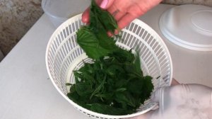 Весенний салат из крапивы! Не пропустите лето!)