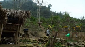 The Life of a 17-Year-Old Single Mother - How to Preserve Wild Boar Meat And Born Chicks