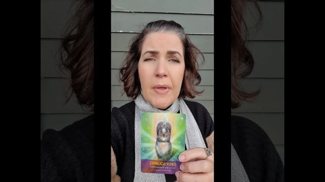 Daily Oracle Reading - 18/5/2023 - Find new ways of solving problems смотреть онлайн